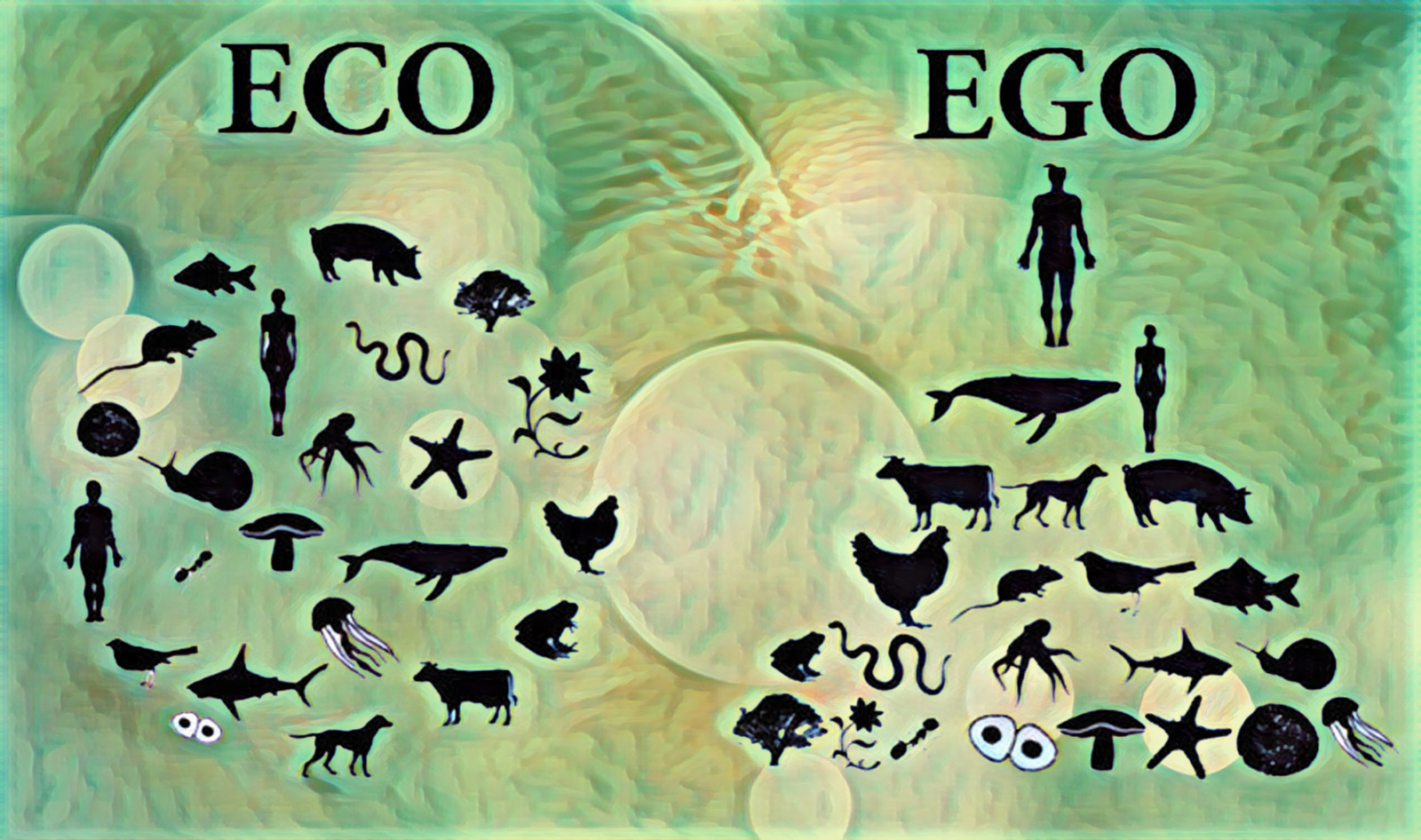 eco over eco animal rights vegan sustainable