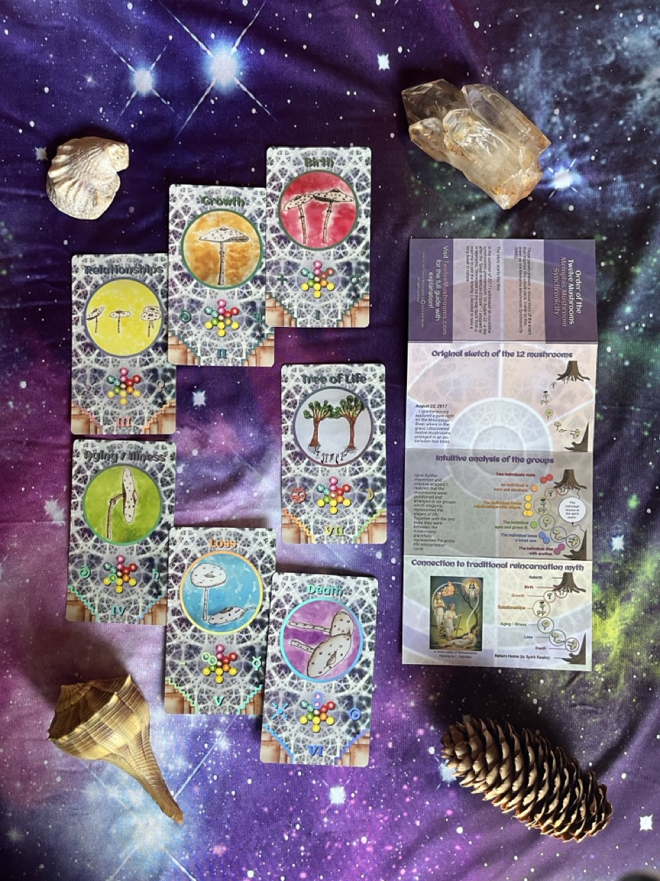 order of the twelve mushrooms oracle deck 7 stages