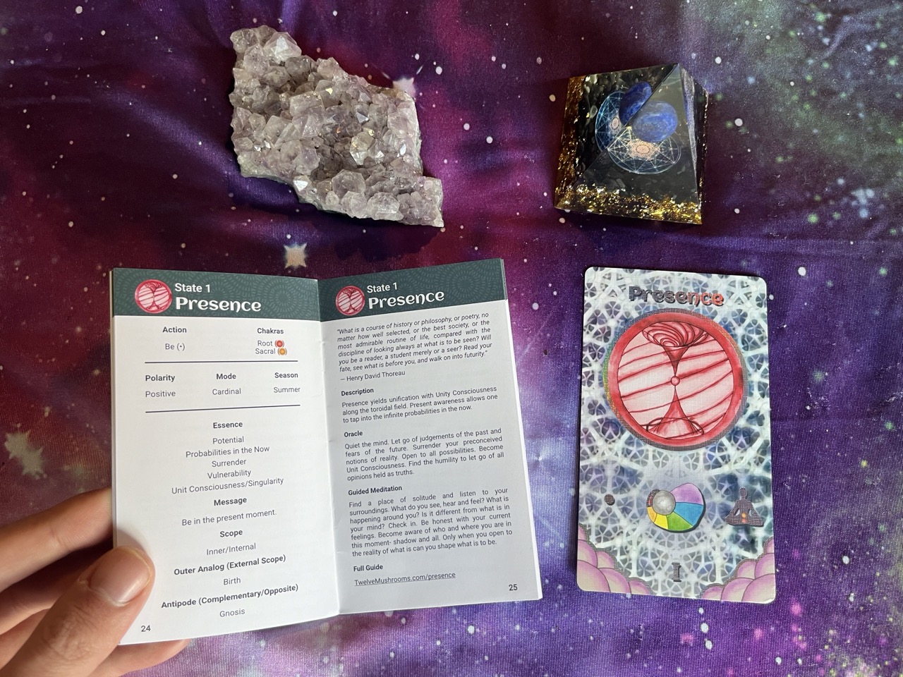 order of the twelve mushrooms oracle deck presence card booklet