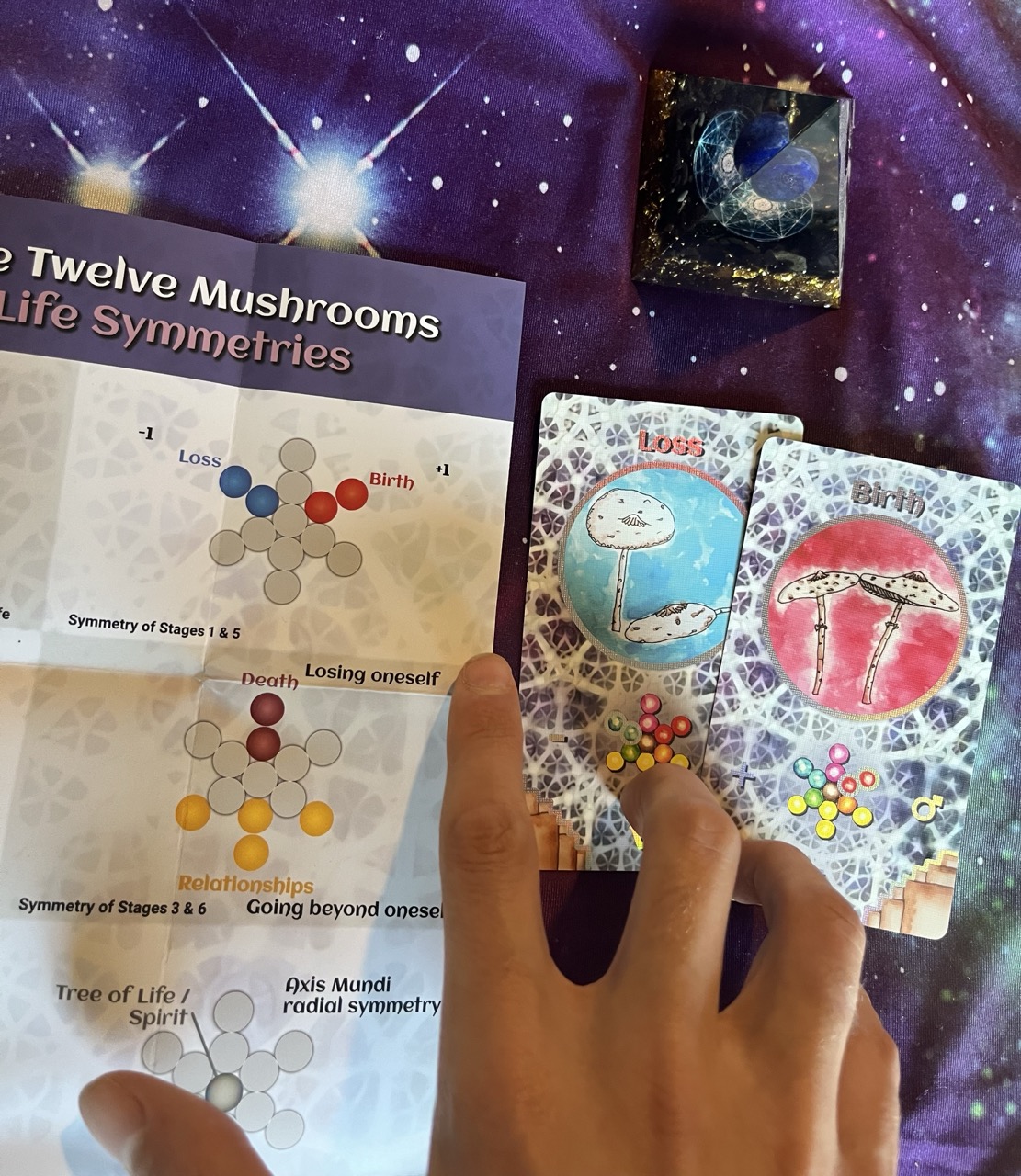 order of the twelve mushrooms oracle deck birth loss reference sheet