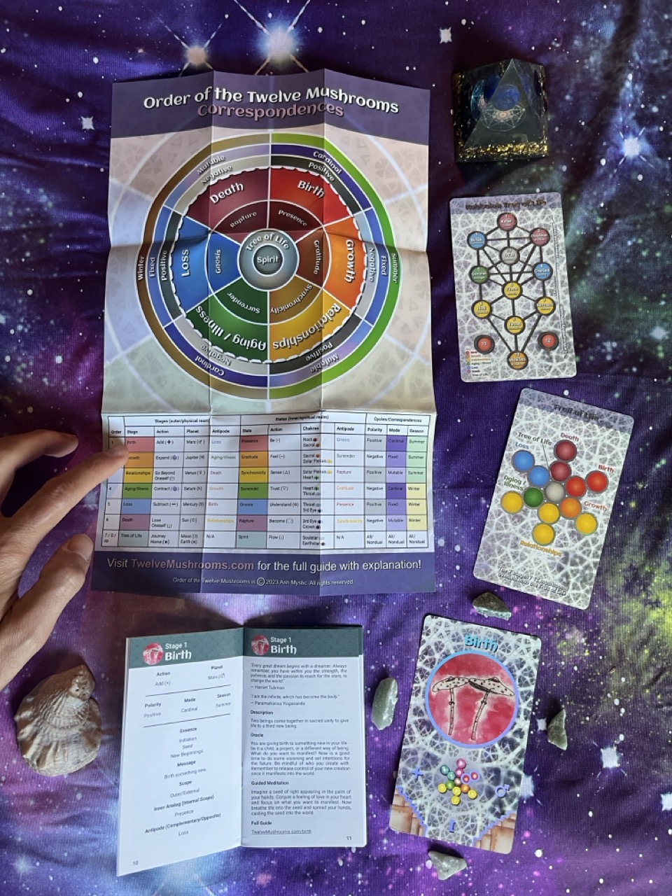 order of the twelve mushrooms oracle deck correspondences